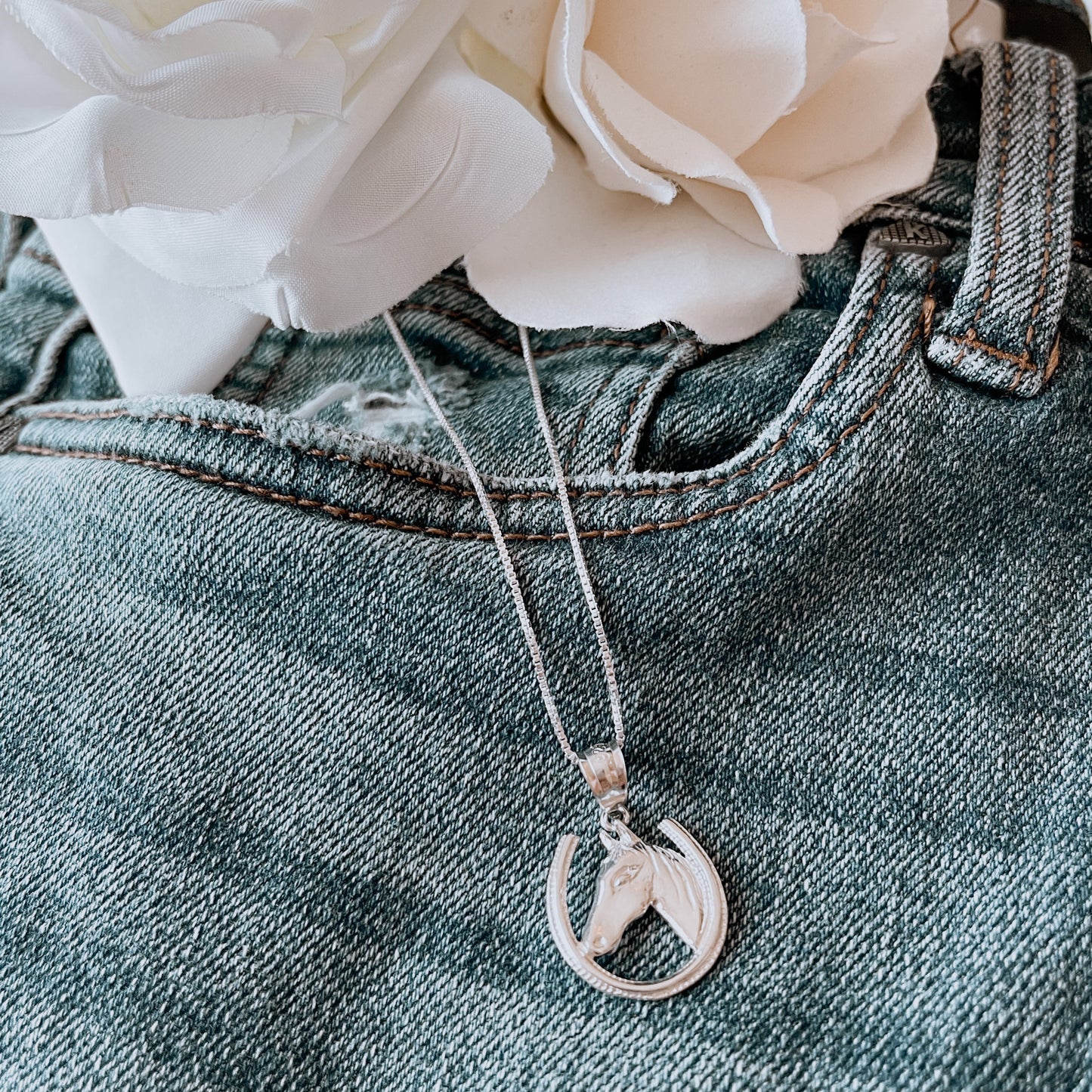 Sterling Silver Horse-head in Horseshoe w/ 18" Chain